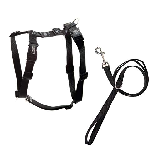 Blue-9 Pet Products No-Pull Balance Harness and Loose Leash Walking Set Dogs, Made in The USA, Black, Small