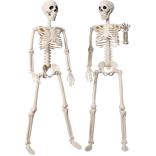 SpaseMaxxx 2 Pack 40" Halloween Skeleton Decoration, Full Body Skeleton, Movable Joints, Posable Plastic Skeleton for Halloween Party, Yard, Haunted House, Indoor Outdoor, Graveyard Decor