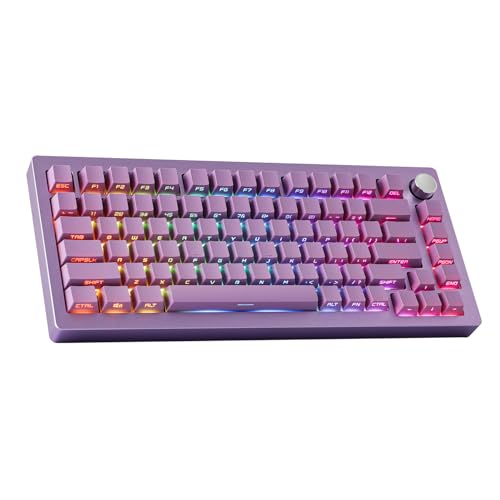 EPOMAKER Tide75 QMK/VIA Wireless 75% Aluminum Mechanical Keyboard, Programmable Creamy Gaming Keyboard, Bluetooth/2.4Ghz/USB-C, with FR4 Plate for Win/Mac (Purple, Lemon Switch)