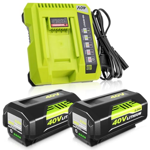 2-Pack 6.0Ah OP4026 40 Volt Lithium Replacement Battery and OP401 Charger Compatible with Ryobi 40V Battery OP4050A OP40601 OP4026A OP4040 OP4030 OP4050 OP4015 OP40261 OP40201 Power Tools (Green)