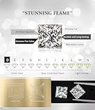 "STUNNING FLAME" 18K Gold Plated Sterling Silver Princess Cut Cubic Zirconia Stud Earrings for men women(w-4)