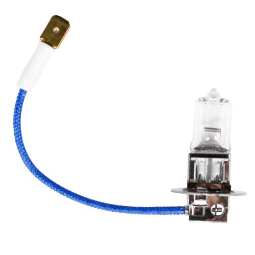 Anyray (10)-Bulbs A1929A H3 24V 100W Halogen Automotive Light Bulb PK22S 100 Watt Long Life