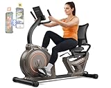 Niceday Recumbent Exercise Bike, Recumbent Bike for Home, Recumbent Stationary Bike 400LBS Weight Capacity, Magnetic Recumbent Bike with Smart APP, LCD Monitor, Heart Rate Handle