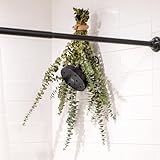 Fresh Eucalyptus Shower Bouquet From Our San Diego USA Farm [No Preservatives] Live Plant [Hanging Ribbon Included] Large Stems & Leaves 100% Natural Aromatic Greens Branches Bundle Bath Wedding