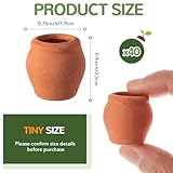 RimCereal 40 Pcs 0.9 x 0.75 Inch Small Mini Clay Pots Terracotta Clay Small Flower Doll House Flower Pot for Crafts DIY Garden Plants and Office Desktop Windowsill Decoration