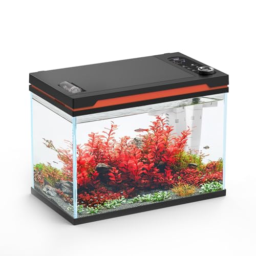 hygger 6 Gallon Smart Aquarium Starter Kit, Glass Fish Tank with Auto On/Off 24/7 Mode Light,Heater,Water Pump,Filter Media,Auto Feeder,Water Changer,Cleaning Gloves,Fish Net,Local Time/Timing Set