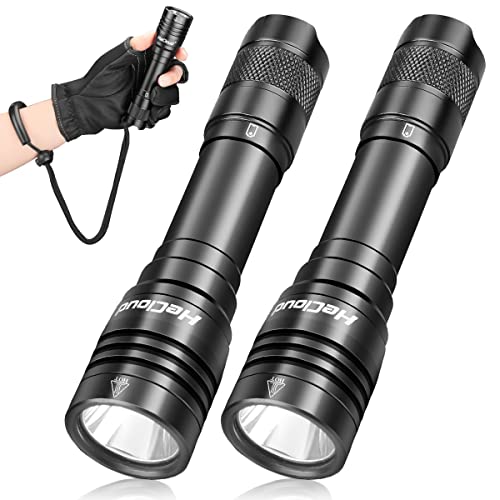 HECLOUD 2 Pack Scuba Diving Flashlight with Rechargeable Power Dive Light Torch 5500 Lumens Underwater 328ft IPX8 Waterproof 4 Modes Safety Light with USB Charger for Submarine Deep Sea Snorkeling