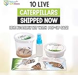 Live Butterfly Growing Complete Kit - Includes 10 Live Caterpillars - All-in-One Kit with Net Cage, Food, and Rearing Supplies - Book Bundle