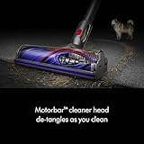 Dyson V8 Plus Cordless Vacuum, Silver/Nickel