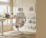 GABRYLLY Ergonomic Office Chair, High Back Home Desk Chair with Headrest, Flip-Up Arms, 90-120° Tilt Lock and Wide Cushion, Big and Tall Mesh Chairs for Man Woman, White Task Chair