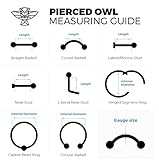 Pierced Owl 14GA Simple Skull Head 316L Surgical Stainless Steel Industrial Cartilage Barbell (Black)