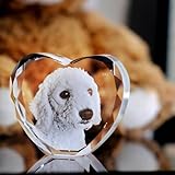 YROAE Custom Crystal Photo, Personalized Dog Memorial Gifts, Crystal Picture Frame, Dog or Cat Remembrance Gifts, Personalized Pet Keepsake