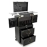 ASCASE Rolling Lockable Makeup Train Case Hairdressing Trolley Stylist Beauty Salon Cosmetic Luggage Travel Organizer Tool Box with Hair Dryer Holder