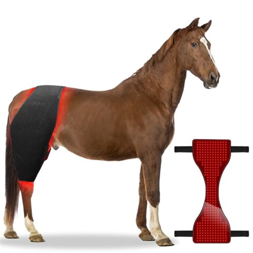 Horse Use Red Light Therapy Pad 660nm 850nm Red Infrared Belt for Horse Buttocks, Abdomen, Back, Front Legs and Hind Legs Muscle Recovery