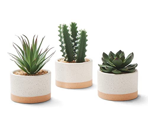 ASTRIDIA Artificial Succulent Plants in Ceramic Pots, Faux Assorted Succulents Fake Cactus Plants for Home Decor, Bedroom, Office, Desk, Living Room, Set of 3…