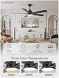 ZMISHIBO 2 Pack 52" Ceiling Fans with Lights, Black Modern Ceiling Fan with Remote, Farmhouse Indoor Ceiling Fan with Dual Finish Blades, Quiet & Strong Motor, Bright LED Light.