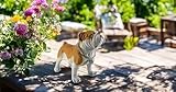 CNFCollection Adorable Standing English Bulldog Puppy Garden Statue, Cute Decorative Resin Figurine for Backyard, Porch, Lawn, Patio for Dog Lovers