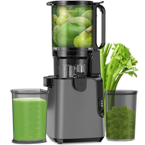 Juicer Machines with 5.8" Extra Large Feed Chute, Cold Press Juicer For Whole Vegetables and Fruits, 350W Professional Masticating juicer Easy to Clean for Batch Juicing (Titanium Gray)