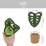 DICHA Monstera Crochet Coasters with Plant Pot-Container Beverage Coaster Sets with Holder Bar Coasters for Drinks Coffee Table Desk-Succulent Plant Pot Coaster-Set of 5