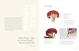 Botanical Art Techniques: A Comprehensive Guide to Watercolor, Graphite, Colored Pencil, Vellum, Pen and Ink, Egg Tempera, Oils, Printmaking, and More