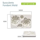 2PCS Fondant Mold Succulent Silicone Fondant Mold Fern Fondant Mold Succulent Leaves Silicone Candy Molds Cake Decoration Molds Gumpaste 3D Silicone Molds for Polymer Clay, Cupcakes, Resin Sugarcraft