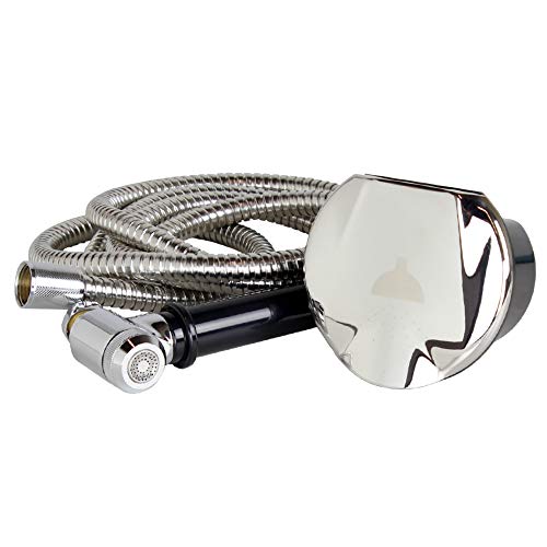 Manufacturers' Select Itc Transom Shower with 8' Stainless Steel Hose and Brass Sprayer (X0029BY14F)