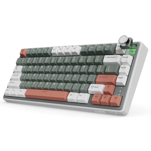 RK ROYAL KLUDGE R75 Wireless Mechanical Keyboard, 75% Percent Custom Gaming Keyboard Gasket Mount RGB Backlit with Knob & PBT Keycaps, BT5.1/2.4GHz/USB-C, Hot Swappable Cream Switch