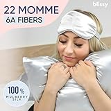 Blissy Silk Pillowcase - 100% Pure Mulberry Silk - 22 Momme 6A High-Grade Fibers - Silk Pillow Cover for Hair & Skin - Regular, Queen & King with Hidden Zipper (Standard, Silver)