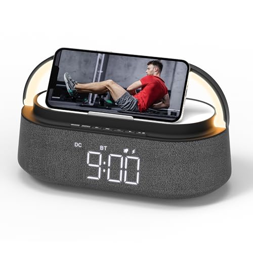 FREEFISH Bluetooth Speaker with Fast Wireless Charger,FM Radio,Touch LED Night Light,Phone Holder,Snooze, Portable Wireless Speaker for Bedrooms Office Home, Gifts (Black)