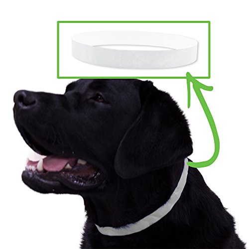 WristCo White Tyvek Dog Collars - 500 Count ¾” x 20” - Waterproof Recyclable Comfortable Tear Resistant Paper pet tagscollars for Veterinary Animal Hospitals