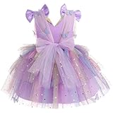 IMEKIS First Birthday Outfit Girl: Butterfly Dress for Toddler 2nd 3rd 4th 5th Birthday Cake Smash Photoshoot Kids Princess Formal Spring Baby Tulle Party Wedding Gowns Rainbow Lilac 12-18 Months