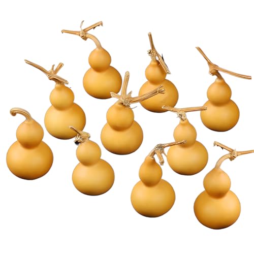 AOKWAWALIY 10 Pcs Crafts Mini Gourd hu lu Cucurbit gourds Dried for Crafts Chinese Gourd Chinese wu Gourd Pendant Gourd jug Table top Decor Gourd Adorns Natural Gourd China Desktop