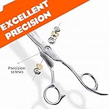 Sirabe HIGH-END Professional Hair Scissors Shears, Ultra Sharp Blades for Precise Cutting, Hair Cutting Scissors Barber Shears Haircut Scissors, Made of 440C Stainless Steel for Salon Hairdressing