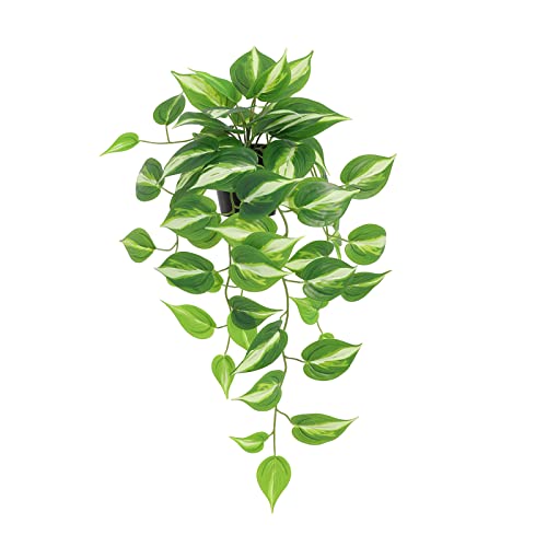 LuckyGreenery Artificial Devil's Ivy Golden Pothos Fake Plant,Hanging Potted Plants for Wall Home Patio Indoor Outdoor Decor(H 26in)