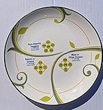 Precise Portions Portion Control Plate - 4in1 Bariatric Plate - 9 Inch divided plates for healthy eating, portion plates for weight loss, Microwave & Dishwasher bariatric portion control plate Store