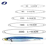 OCEAN CAT 1 PC Slow Fall Pitch Fishing Lures Sinking Lead Metal Flat Jigs Jigging Baits with Hook for Saltwater Fishing 4 Colors 160G/200G (7 Colors Comb, 120g(4 2/9oz))