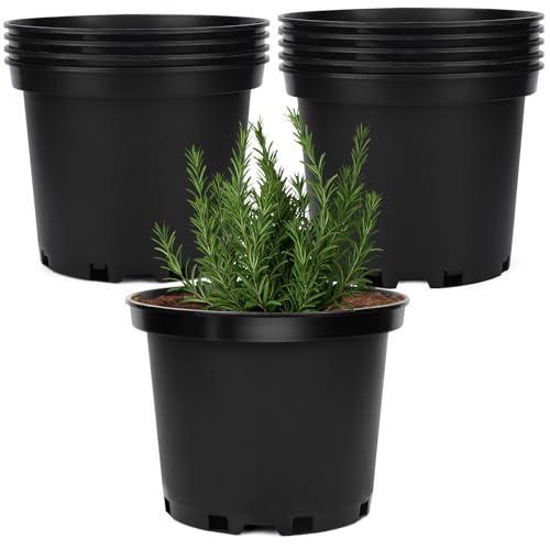 GREANER 2 Gallon Nursery Pots for Plants, 10 PCS Plastic Plant Pot with Drainage Holes for Indoor Outdoor, Garden, Greenhouse(Black)