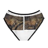 SpreadPassion Women's Black-Footed Cat Felis Nigripes Panties, Black-Footed Cat Felis Nigripes Underwear, Briefs, Cotton Briefs, Funny Underwear, (X-Small)