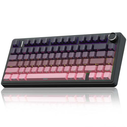 AULA F75 Pro Wireless Mechanical Keyboard,75% Hot Swappable Custom Keyboard,RGB Backlit,Pre-lubed Reaper Switches,Side Printed PBT Keycaps Mechanical Gaming Keyboards, Pink&Black