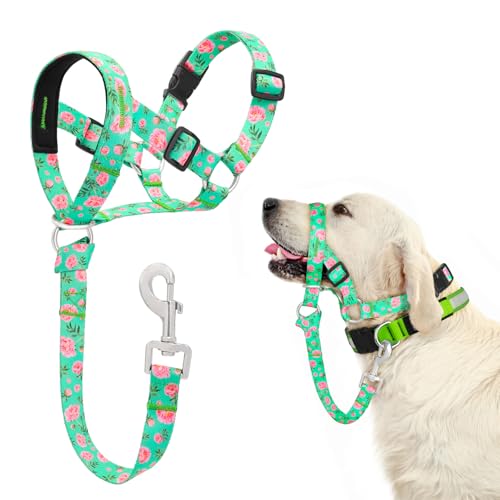 DOMIGLOW No-Pull Dog Head Collar - Adjustable Gentle Leader for Dogs, Padded Dog Headcollar to Stop Heavy Pulling on The Leash, Anti-PullHead Halter Collar for Easy Control on Walks (Green, Small)