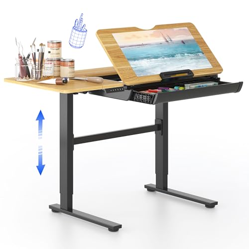 FLEXISPOT Electric Drafting Table Adjustable Height 47.2"x23.6" Standing Drawing Desk Extendable Top Craft Workstation w/Tilting Tabletop, Storage Drawer for Study, Office, Studio, Art, Adult & Kid