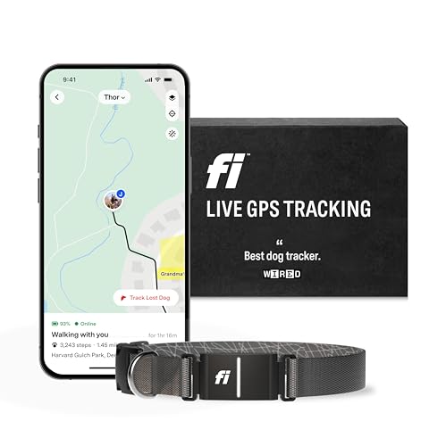 Fi Series 3 Smart Dog Collar - GPS Dog Tracker and Activity & Fitness Monitor, Waterproof, LED Light, Escape Alerts, Nationwide Coverage [Free 1 Year Membership] (Gray, Small)