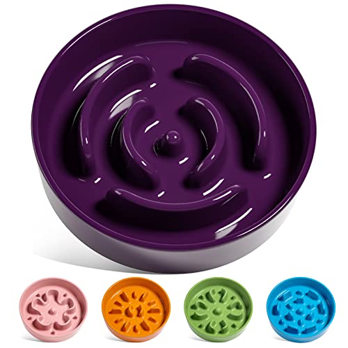 LE TAUCI Ceramic Slow Feeder Dog Bowls Small Breed, 0.6 Cups Dog Food Dish for Fast Eaters, Puzzle Bowl for Small Dogs and Cats,Purple
