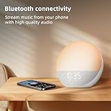 Sunrise Alarm Clock White Noise Machine: Natural Wake Up Light - Dimmable Clock with Bluetooth Speaker for Bedroom - 25 Sleep Sounds for Baby Adults Kids Frost White