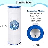 Future Way CC150 Pool Filter Cartridge Replacement for Pentair Clean & Clear 150, Replace Pleatco PAP150, Pentair R173216, Unicel C-9415, 150 sq.ft