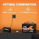 LiTime LiFePO4 Battery 12V 100Ah Built-in 100A BMS 4000-15000 Cycles for RV Solar Marine Overland Off-Grid Application(14.6V20A LiFePO4 Charger Included)