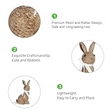 MicoSim Rattan Effect Resin Bunny Easter Decor,Table Rabbit Easter Decorations,Spring Bunnies Decoration Statue Figurine for Home Farmhouse (Brown, Big-Pair)