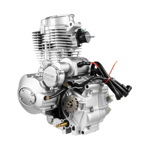 250cc 4-Stroke Engine Motor, 5-Speed Manual Transmission Engine for Dirt Bike ATV, Single Cylinder Air-Cooled Engine Motor, Vertical Engine Motors Kick Electric, Motorcycle Engines, 7500rpm