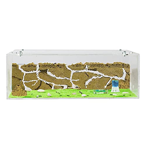 AntHouse - Natural Sand Ant Farm | Acrylic Big Starter Kit | Educative Ant Hill | 11.81 x 5.91 x 3.94 in