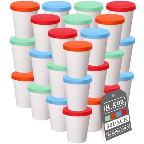 Sunnyray 30 Pack 8.5 oz Ice Cream Containers Bulk with Leak-free Silicone Lids, Reusable Stackable Freezer Storage Containers for Homemade Ice Cream, Ideal for Homemade Sorbet Frozen Yogurt or Gelato